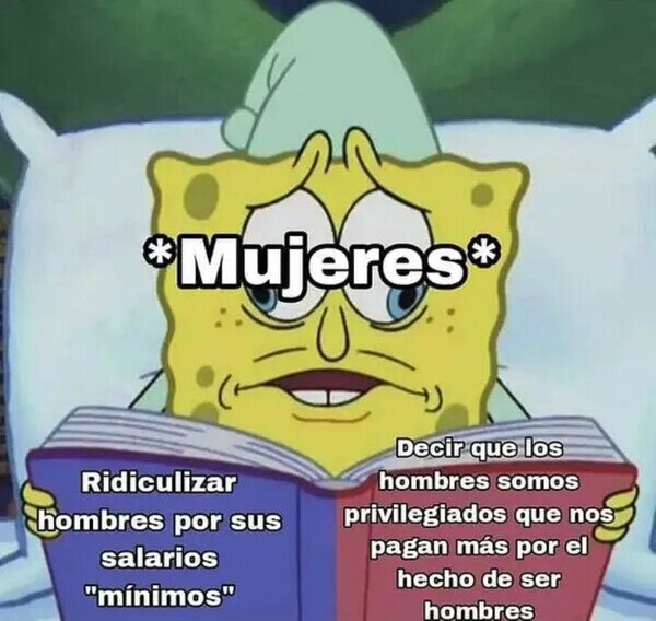 Meme_otros - Simplemente mujeres