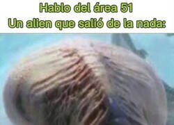 Enlace a No tienes ni idea