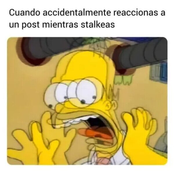Meme_otros - ¿Por qué hice eso?
