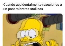 Enlace a ¿Por qué hice eso?