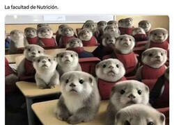 Enlace a Nunca he estado, pero así debe ser