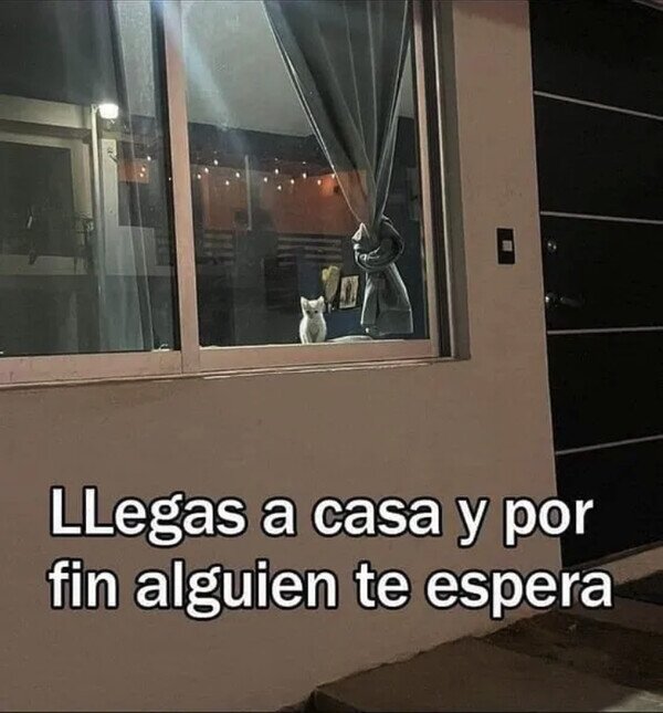 Meme_otros - El amor es esto