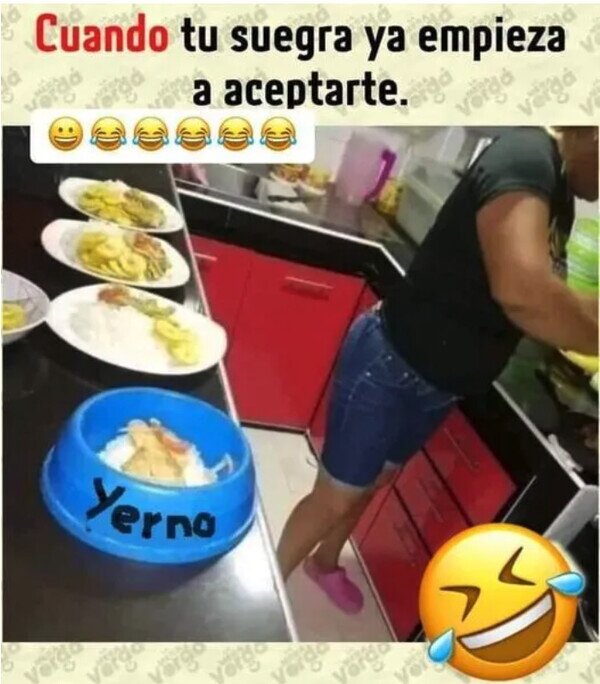 Meme_otros - Ya soy uno más de la familia