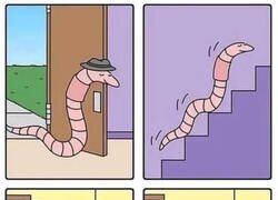 Enlace a No es lo que parece