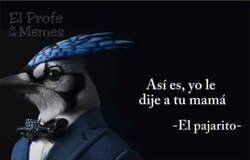 Enlace a Por fin confiesa el muy pájaro