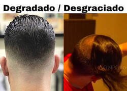 Enlace a Tipos de pelo