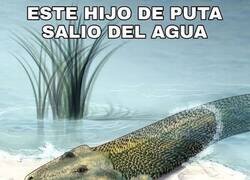 Enlace a Maldita evolución