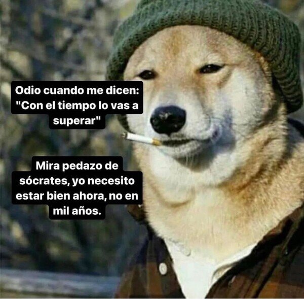 Otros - Gracias por nada