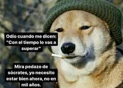 Enlace a Gracias por nada