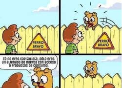 Enlace a Cuidado con el perro