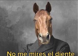 Enlace a Ya sabes lo que dicen