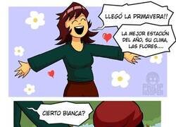 Enlace a Primavera