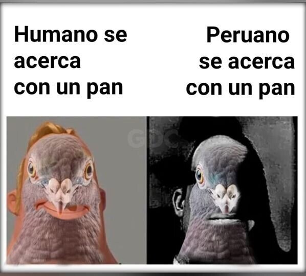 Meme_otros - No son las mismas intenciones