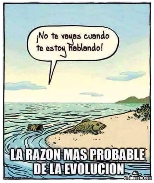 Meme_otros - Todo empezó con una discusión de pareja