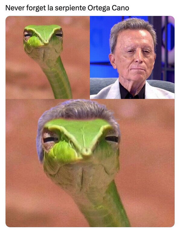 Meme_otros - La serpiente Ortega Cano