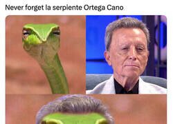 Enlace a La serpiente Ortega Cano