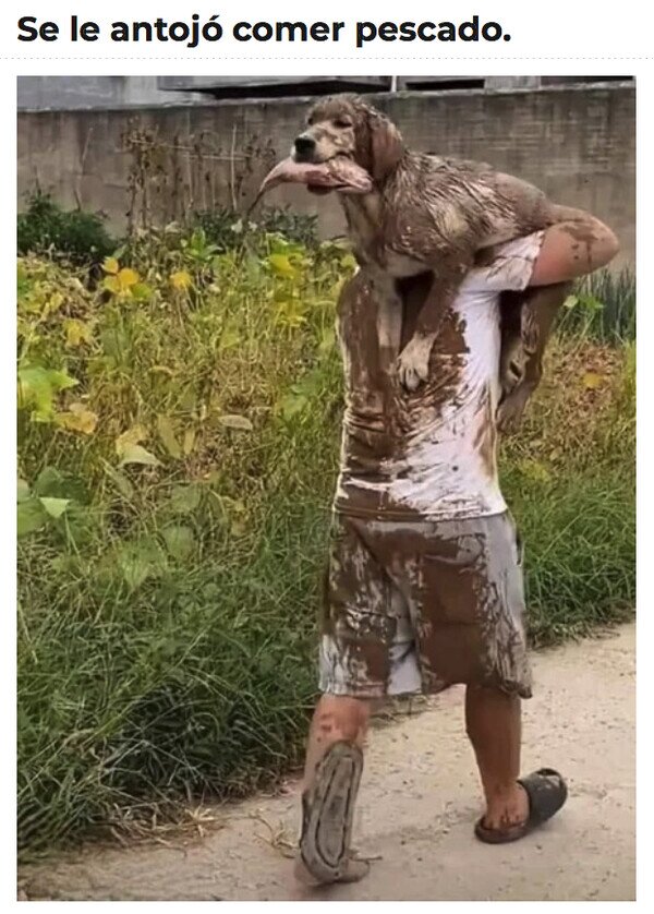 Meme_otros - Cuando al Firulais le apetece comer pescado