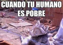 Enlace a Quién no trae dinero a la casa, no come