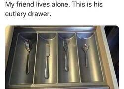 Enlace a Cuando vives solo