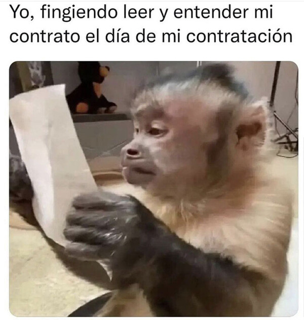 Meme_otros - Todo en orden