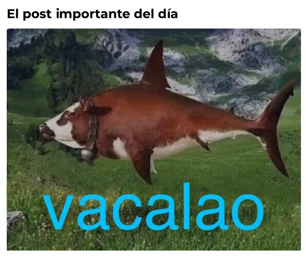 vaca,bacalao,animal,vacalao,wtf