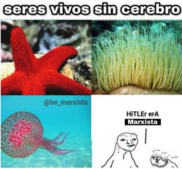 Meme_otros - Seres vivos sin cerebro