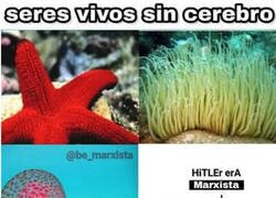 Enlace a Seres vivos sin cerebro