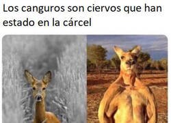 Enlace a No tengo pruebas pero tampoco dudas