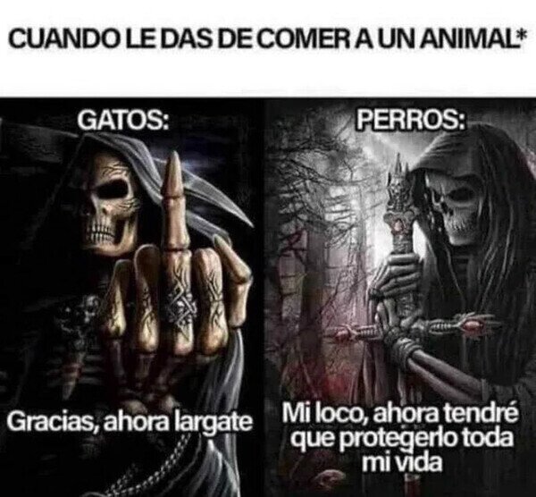 Meme_otros - No son igual de agradecidos