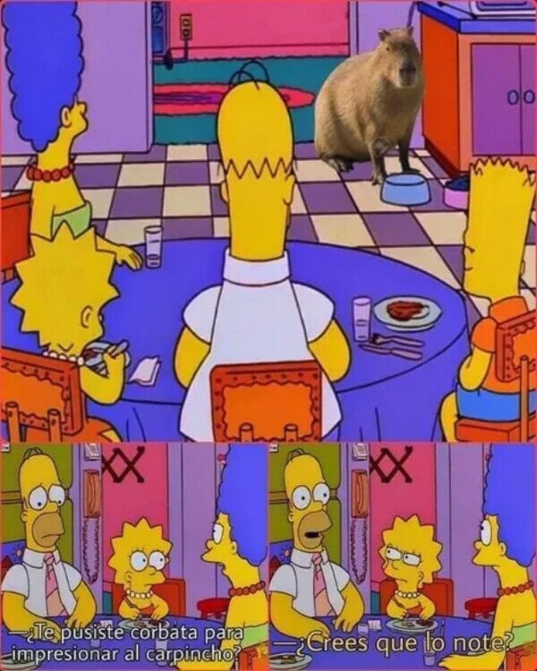 Meme_otros - Visita especial en casa