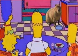 Enlace a Visita especial en casa