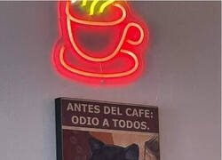 Enlace a Soy un gato adicto al café