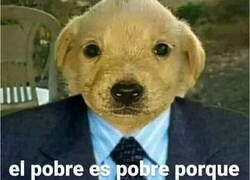 Enlace a Típica frase de niño mimado que consiguió su primer trabajo