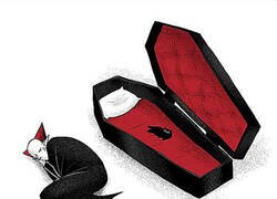 Enlace a Si Drácula tuviera gato