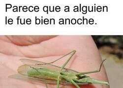 Enlace a Un noche para perder la cabeza