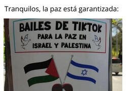 Enlace a Tiktokers reunidos por la paz