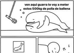 Enlace a Sonidos 'relajantes'