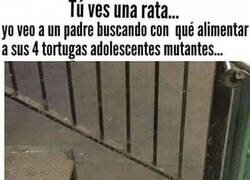 Enlace a No juzgues si no conoces la historia que hay detrás