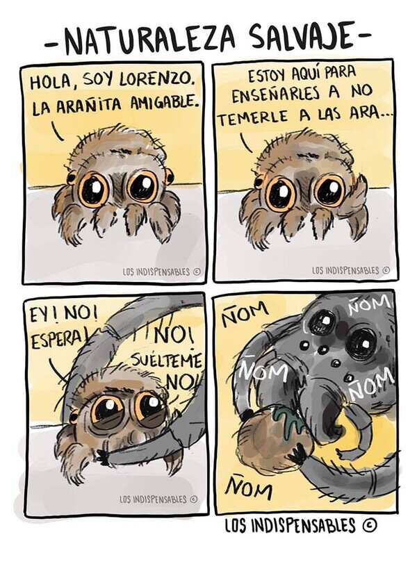 Meme_otros - No le temas a las arañas
