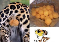 Enlace a El origen de los Cheetos