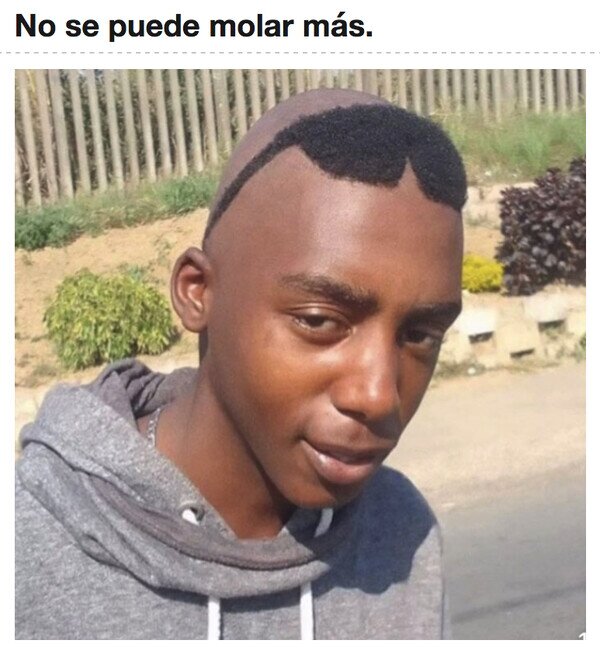 Meme_otros - El corte de pelo perfecto no exi...