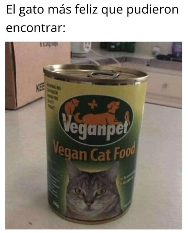 Meme_otros - No hay gatos veganos felices