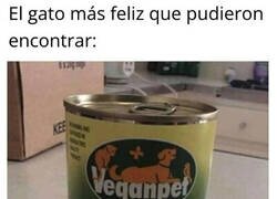 Enlace a No hay gatos veganos felices