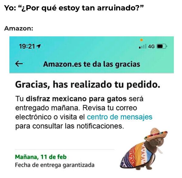 Otros - ¿Gastaré demasiado en chorradas?