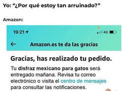 Enlace a ¿Gastaré demasiado en chorradas?