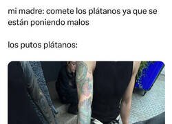 Enlace a Ya están oscurecidos