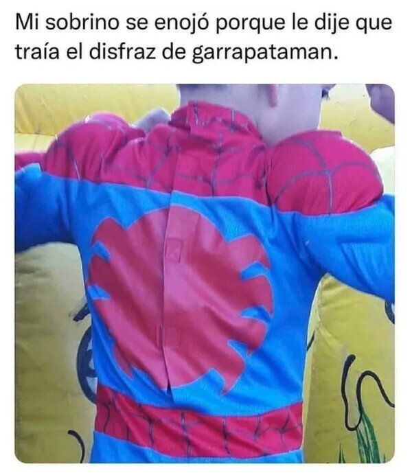 Meme_otros - Desde luego una araña no es