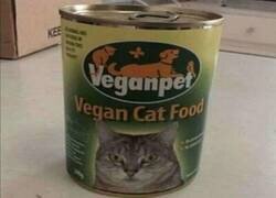 Enlace a La comida de gato vegana que los gatos odiarán