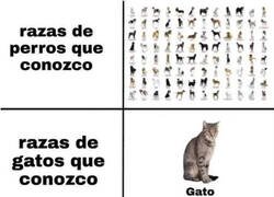 Enlace a Única e inigualable