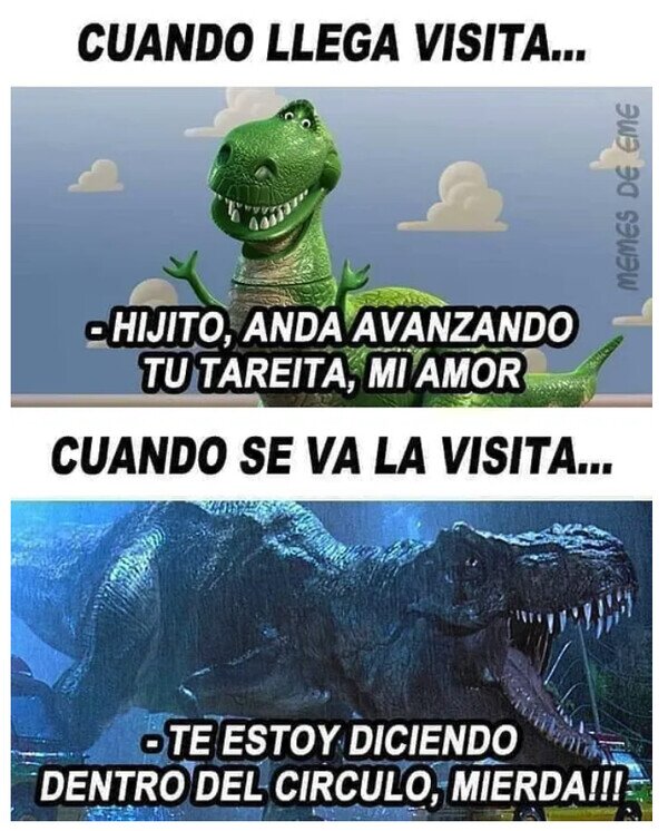 Meme_otros - Mi madre con y sin visita